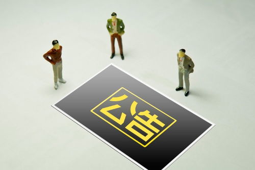 強化信息透明與監(jiān)管協(xié)同 交易所公告與中國日報網(wǎng)信息咨詢的雙向賦能